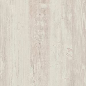 Сосна Эдмонд