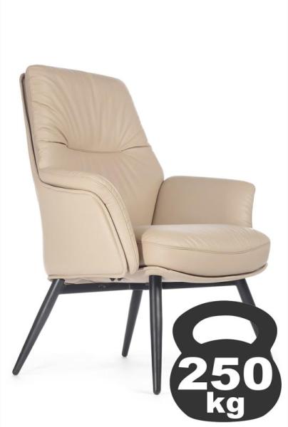 Кресло Батисто-СТ / Batisto-ST C2018