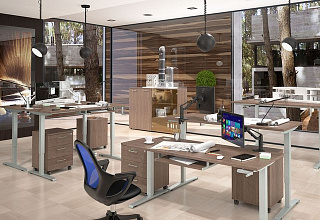 Серия Икс-тен Ап / XTEN-UP