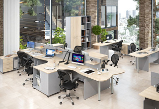 Оффикс Нью / OFFIX NEW